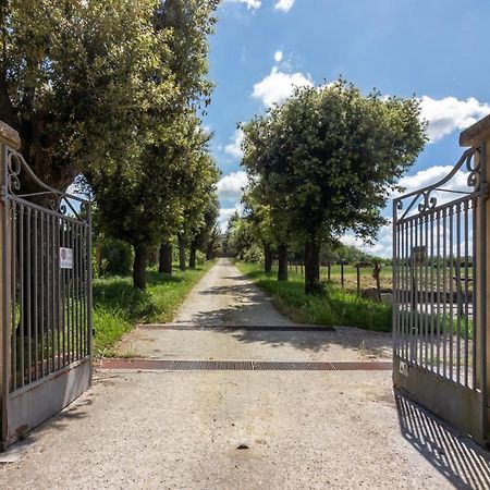 Villa Cornossa Marta Exterior photo