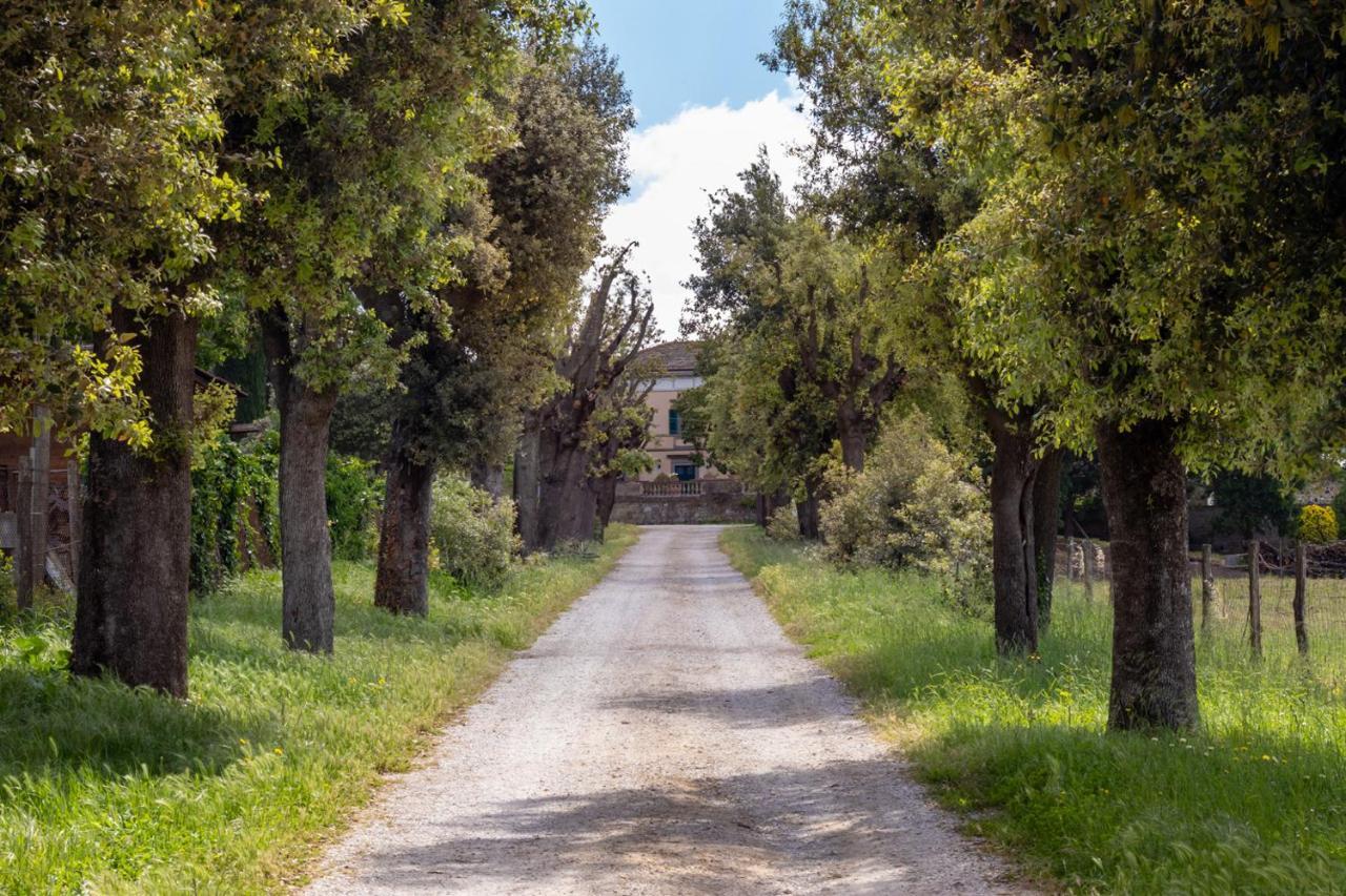 Villa Cornossa Marta Exterior photo